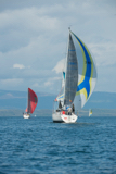 salamander xxii 3361c whyw16 mon 800 2301w